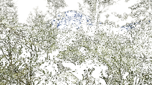 NVIDIA Nemotron 3 Nano 4B: Technical Deep Dive